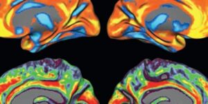 Lire la suite à propos de l’article Une journée de méditation modifie la régulation des gènes
