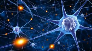 Lire la suite à propos de l’article Les réseaux neuronaux de la méditation et du vagabondage mental