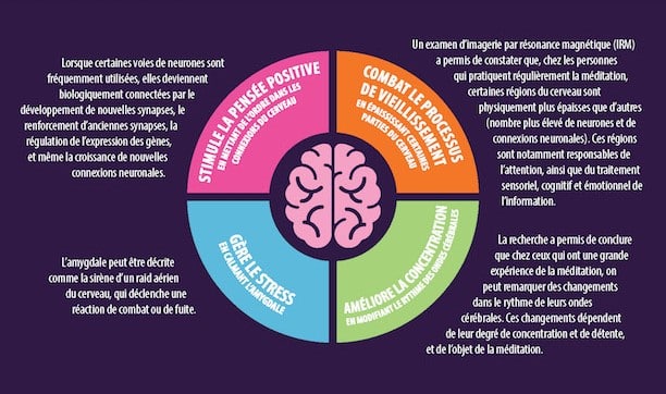 Un schéma d'un cerveau illustrant les bienfaits de la méditation pour les étudiants et pour tous.