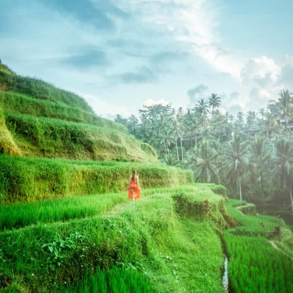 femme qui se reconnecte dans la nature rizières en terrasse