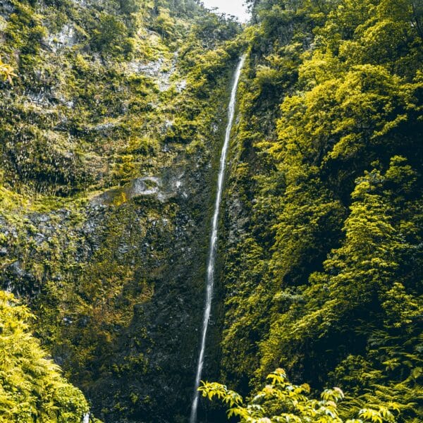 nature environnement cascade harmonie